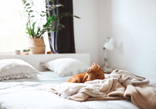 Improving Indoor Air Quality: How to Get Rid of Pet Dander With an Exceptional HVAC Tune-Up